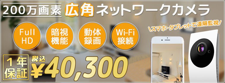Wi-Fi対応 広角ネットワークカメラ　税込22,800円