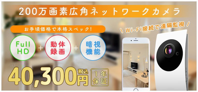 Wi-Fi対応 200万画素広角ネットワークカメラ 税込22,800円