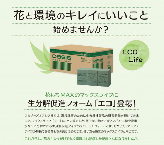 オアシス マックスライフ Eco 個入 オアシスフォーム Selon Ota Online