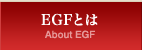 EGFとは